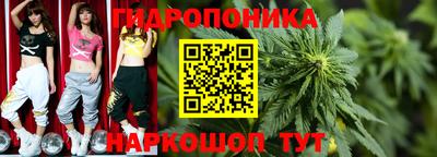 не бодяженный Новозыбков