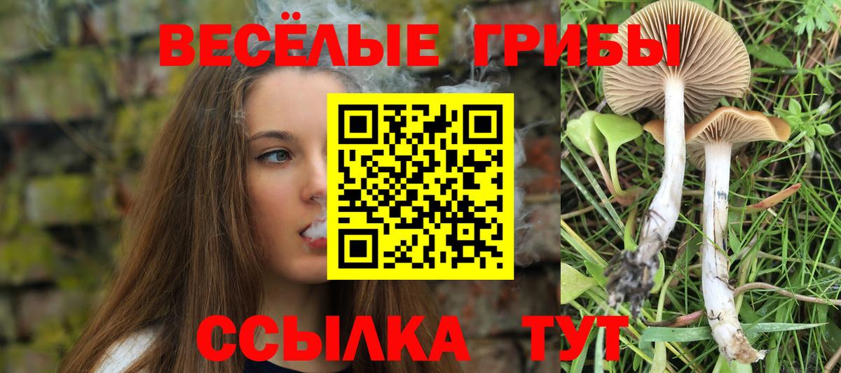 Галлюциногенные грибы GOLDEN TEACHER  Вход с VPN  Фрязино 